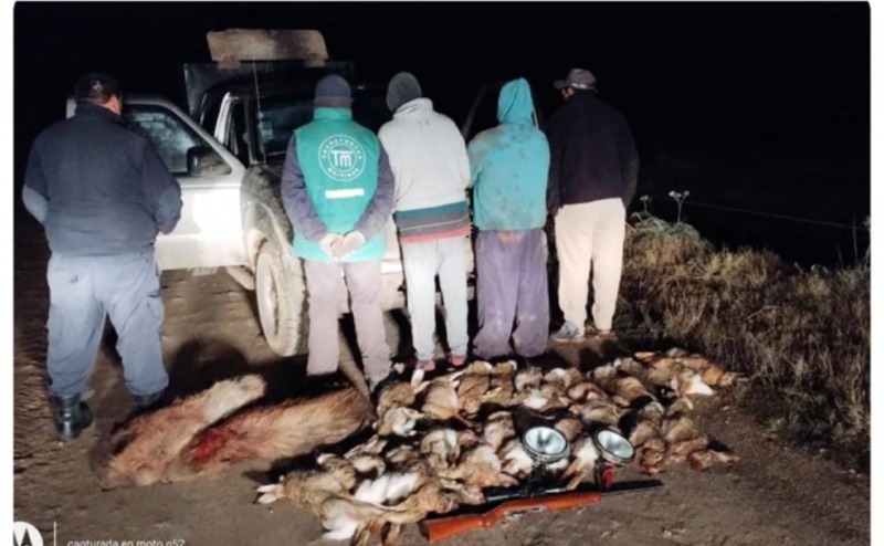 Cazadores sorprendidos con 25 animales y un arma de fuego ilegal